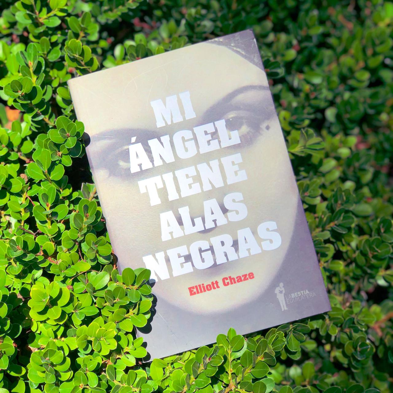 Mi ángel tiene alas negras – Elliott Chaze