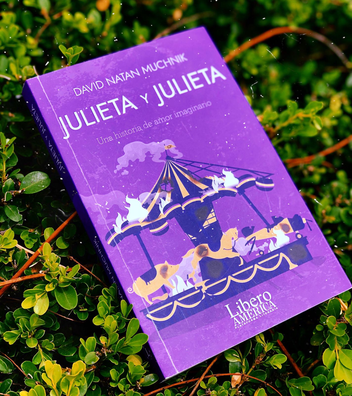 Julieta y Julieta – David Natan Muchnik