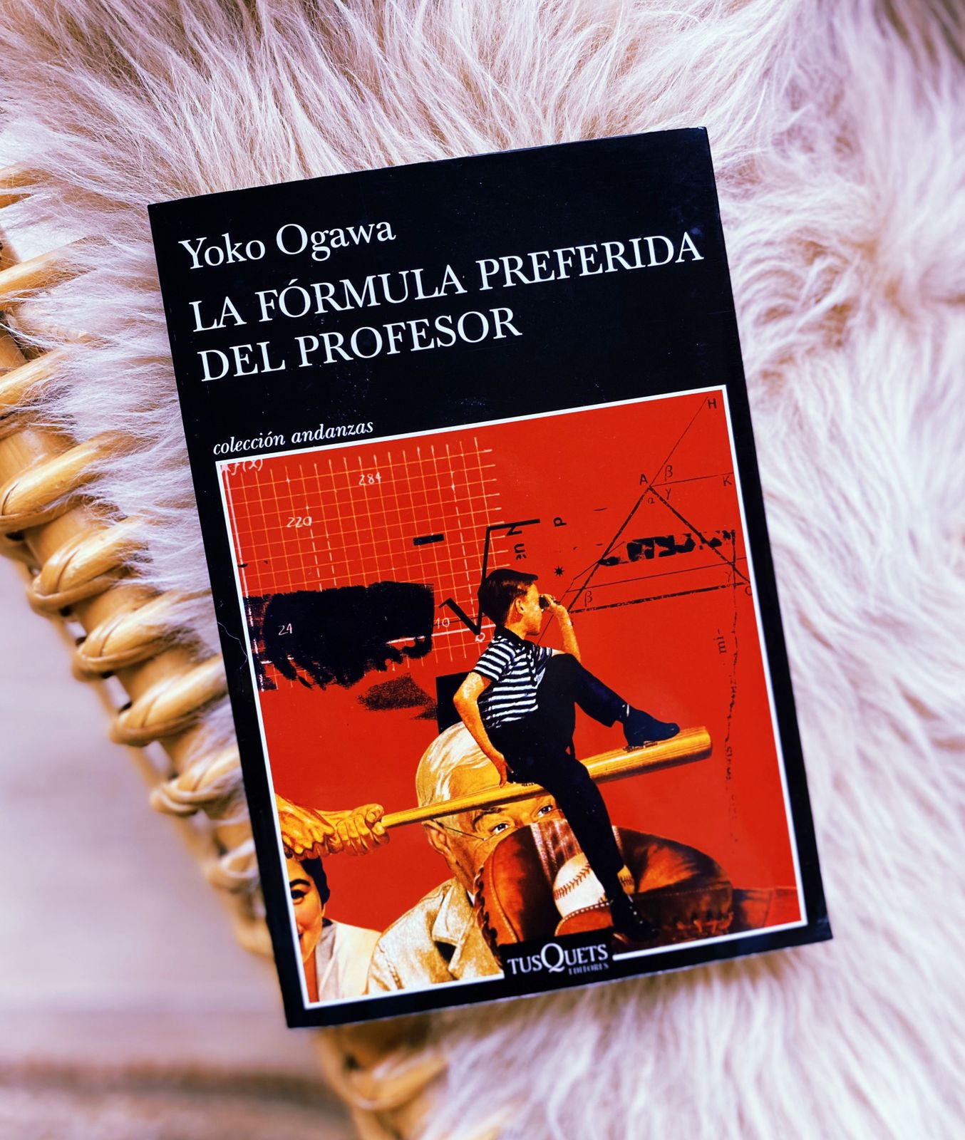 La fórmula preferida del profesor – Yoko Ogawa