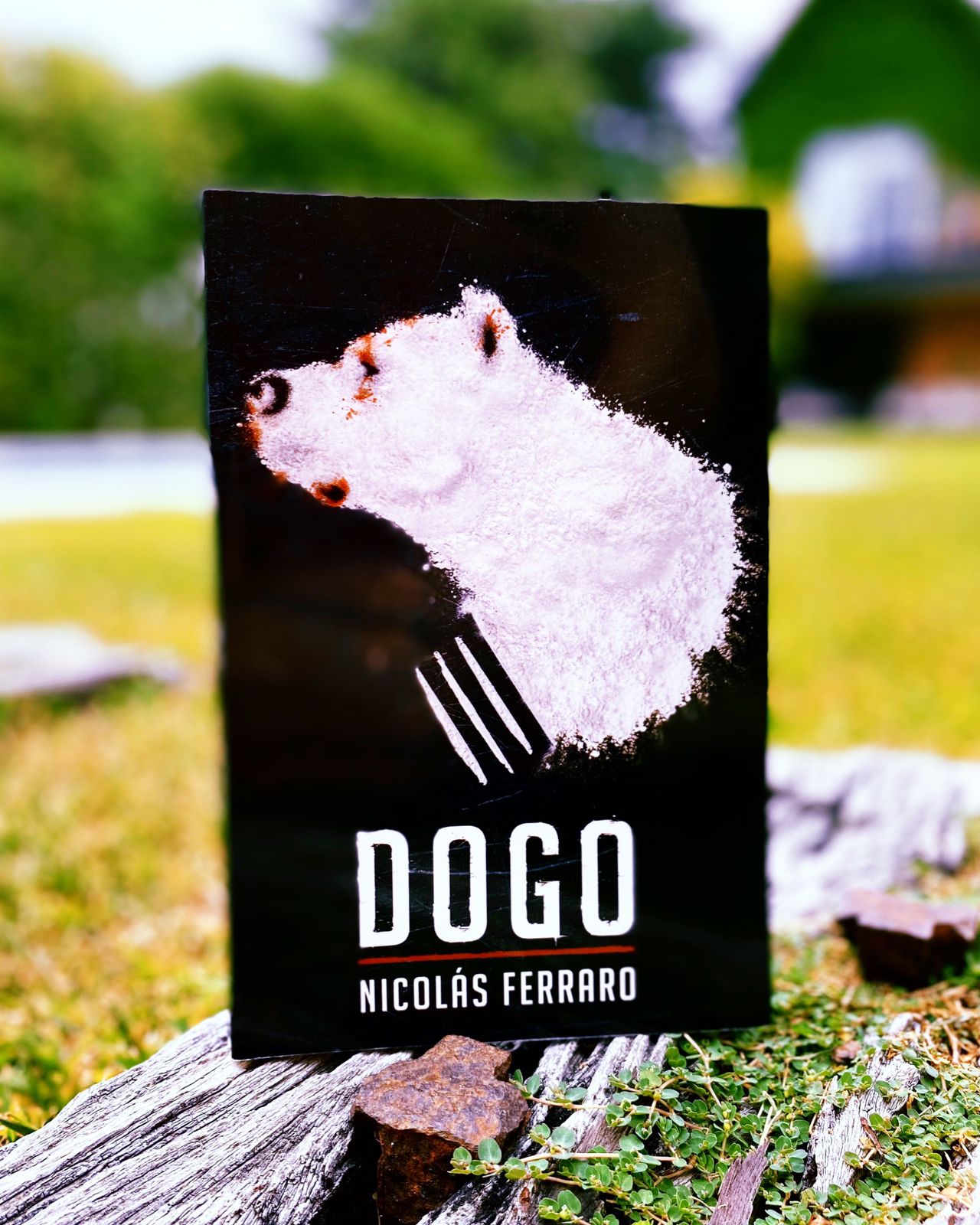 Dogo – Nicolás Ferraro