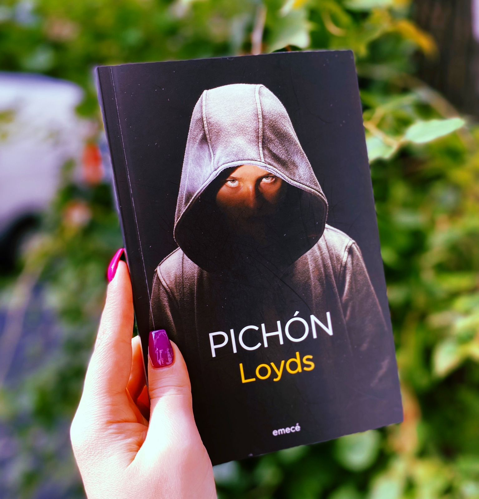 Pichón – Loyds