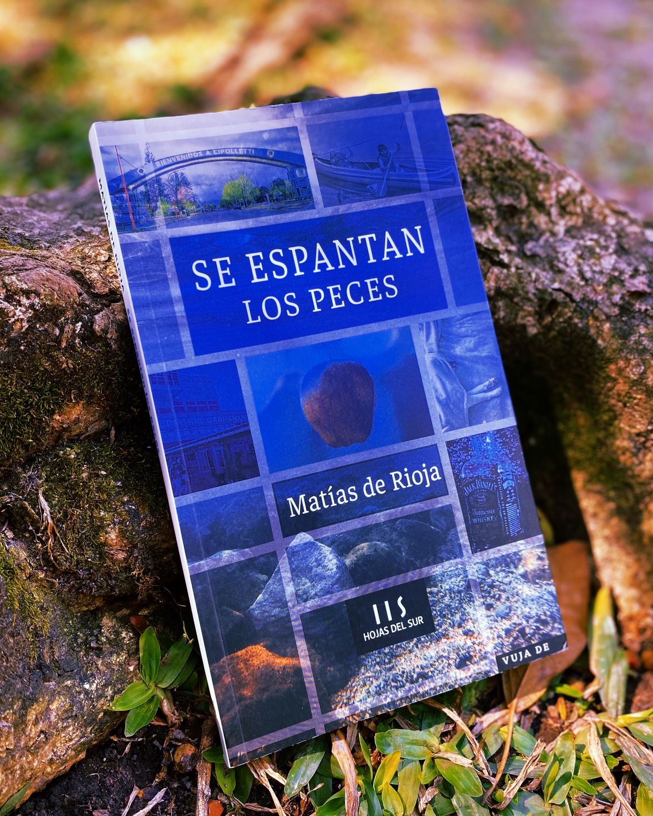 Se espantan los peces – Matías de Rioja