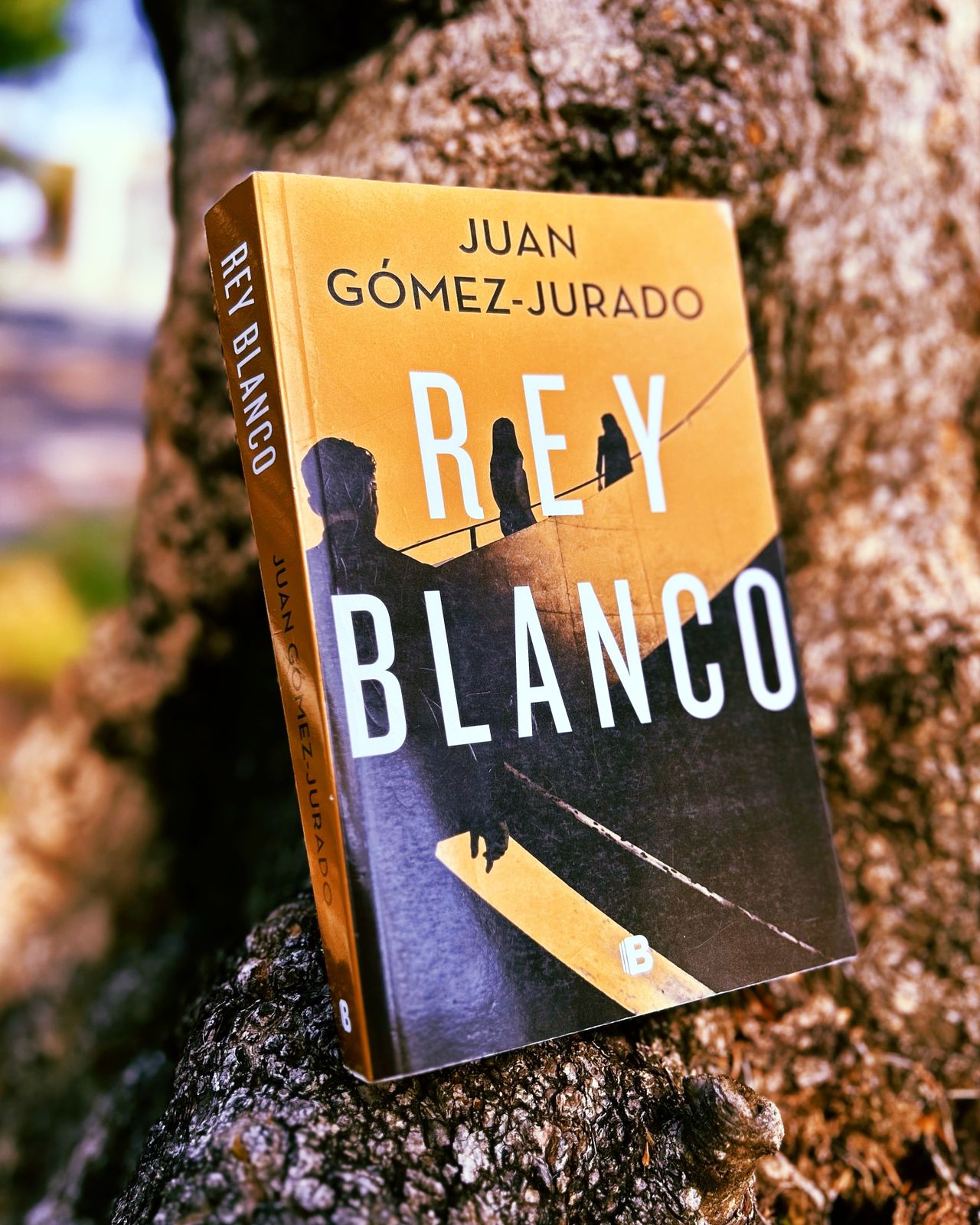 Rey blanco – Juan Gómez Jurado