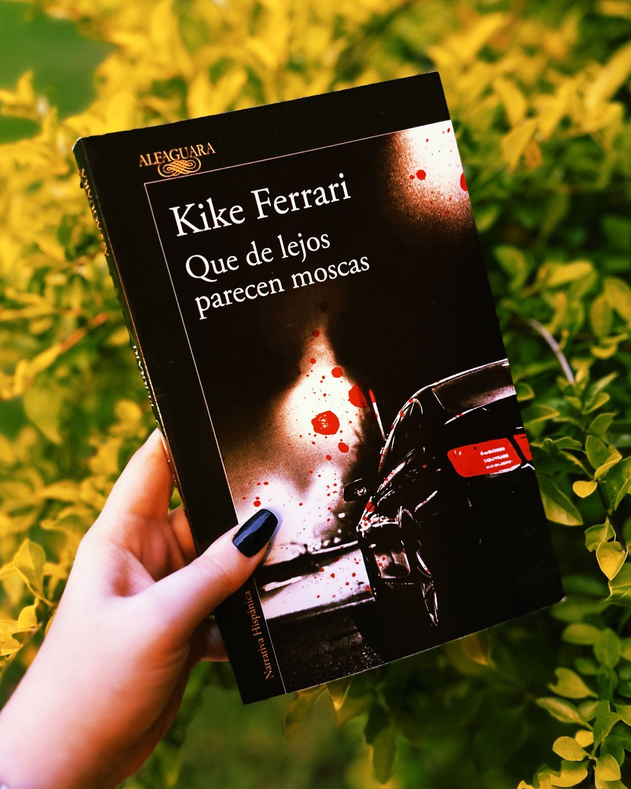 Que de lejos parecen moscas – Kike Ferrari