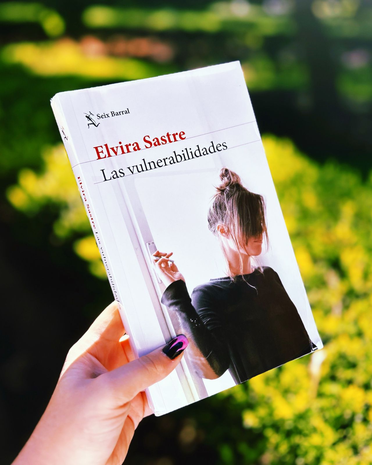 Las vulnerabilidades – Elvira Sastre