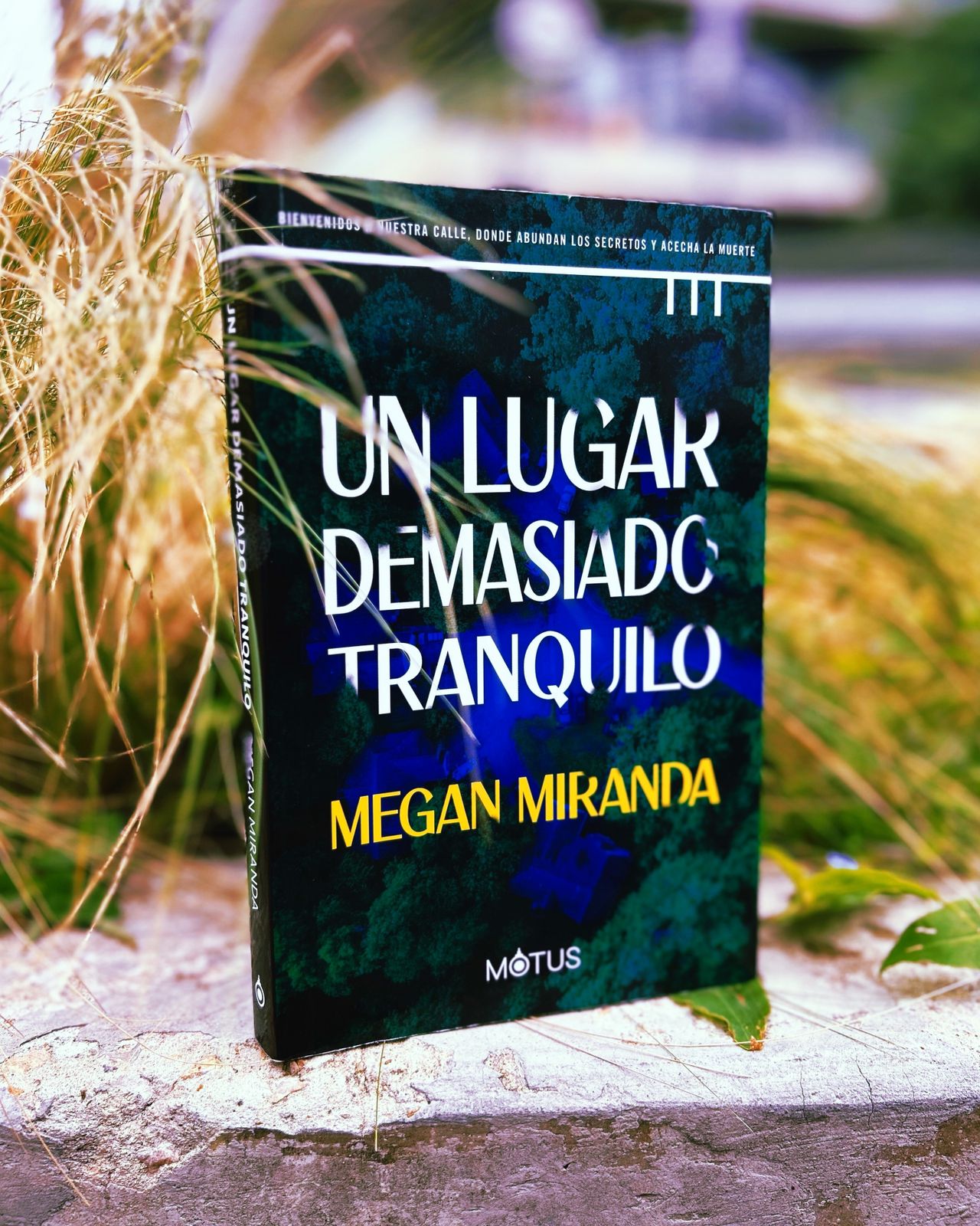 Un lugar demasiado tranquilo – Megan Miranda