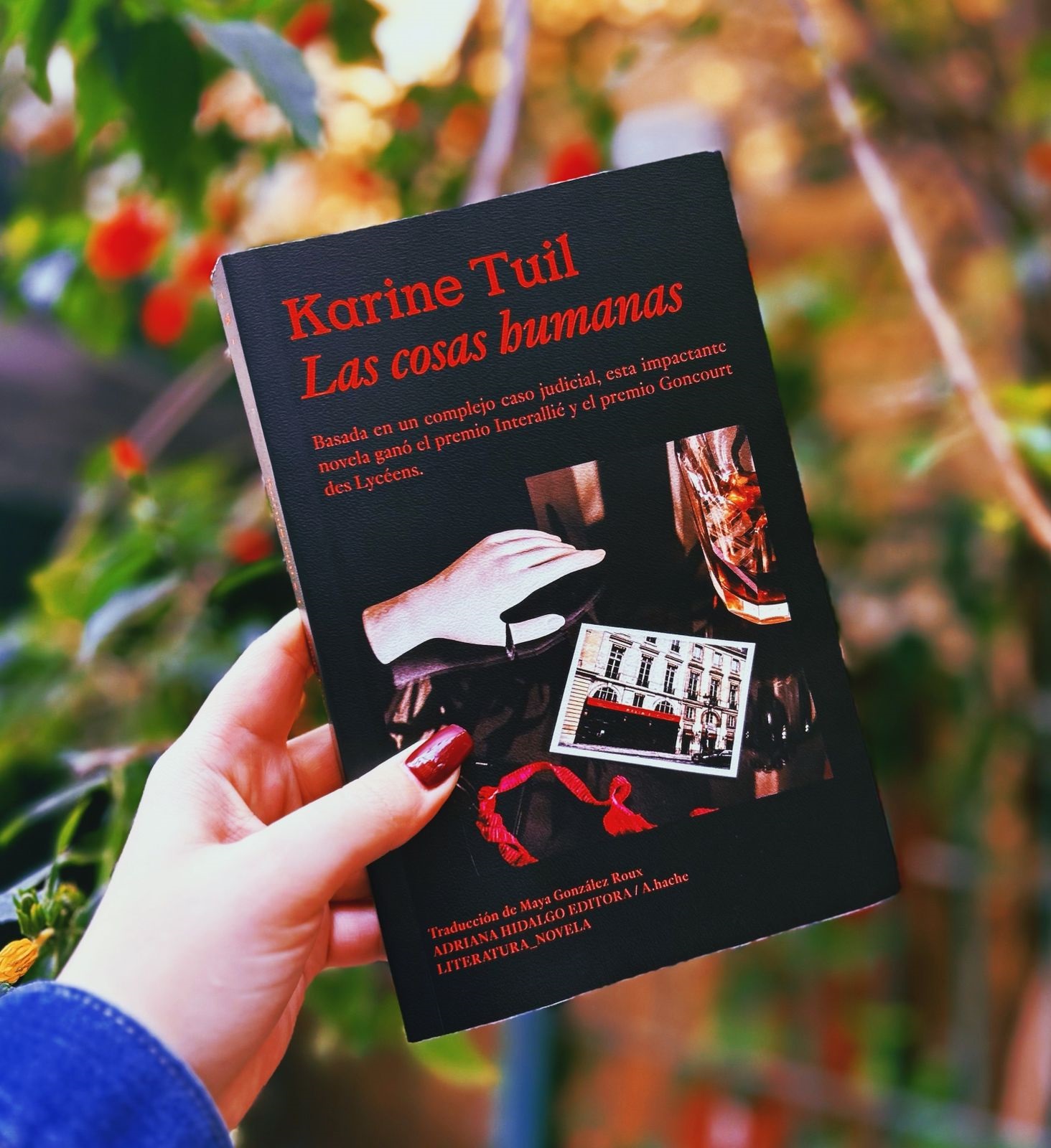 Las cosas humanas – Karine Tuil