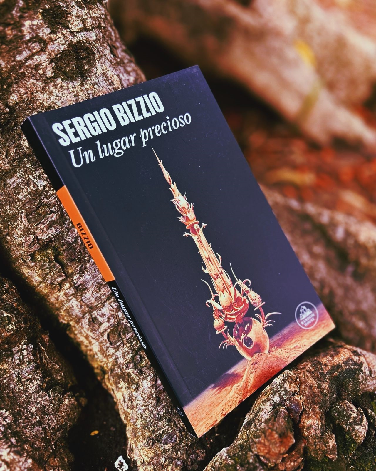 Un lugar precioso – Sergio Bizzio