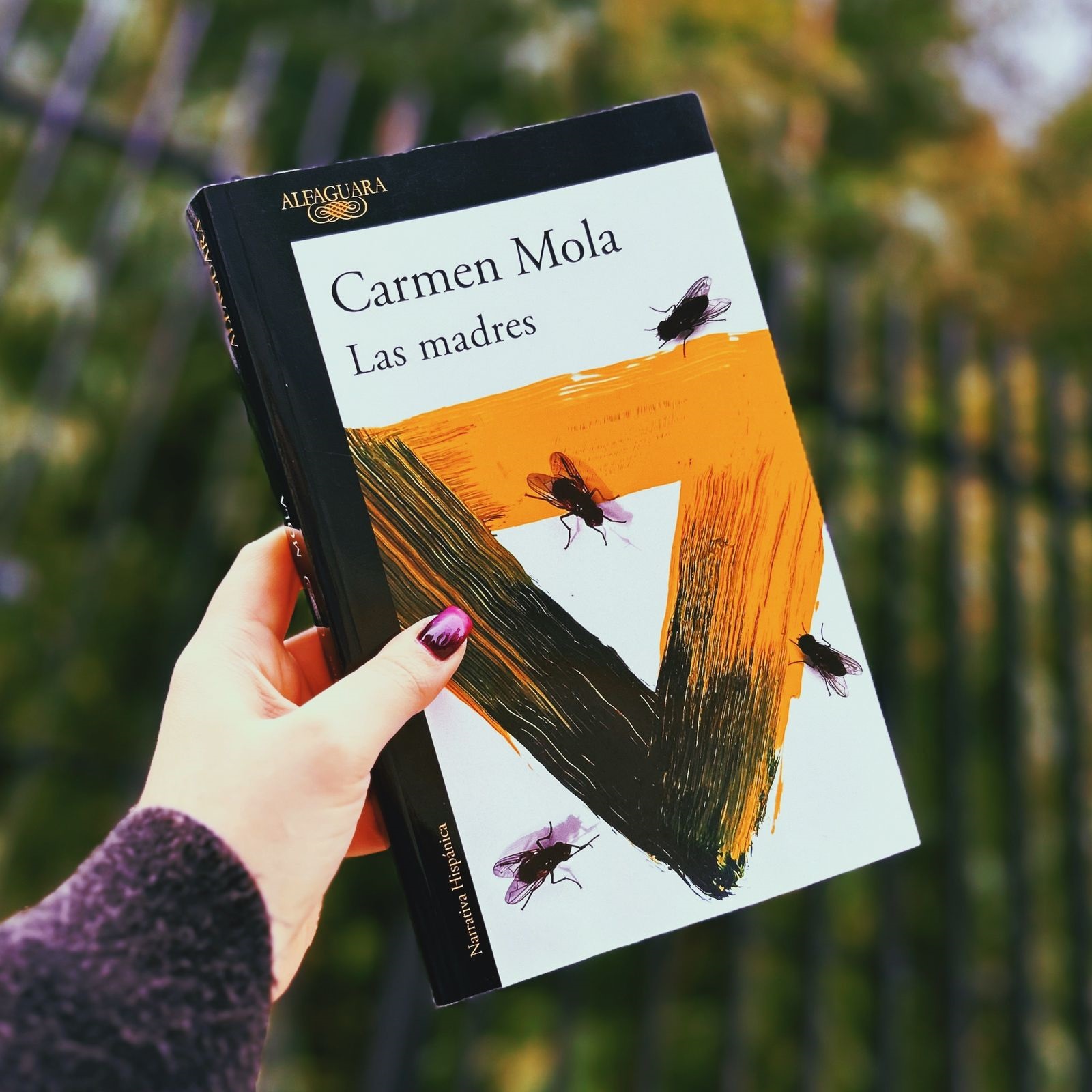 Las madres – Carmen Mola