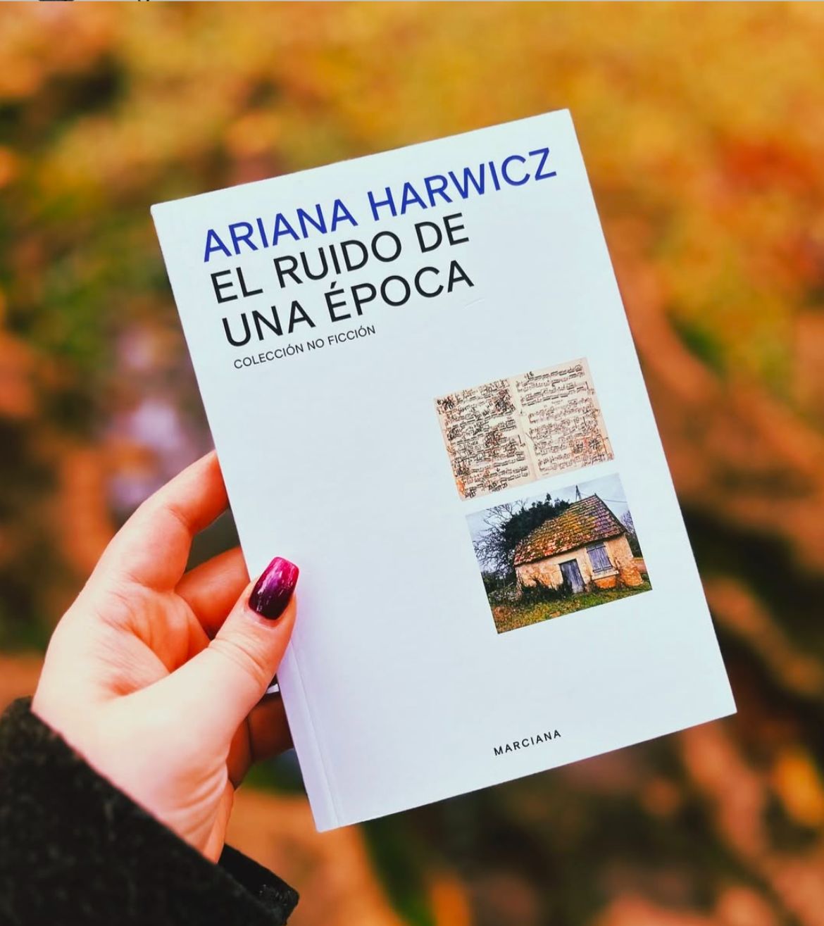 El ruido de una época – Ariana Harwicz